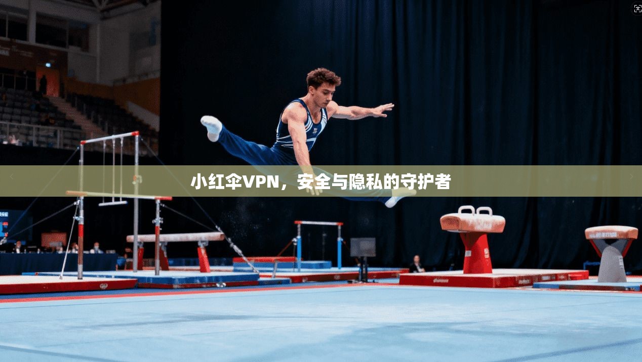 小红伞VPN，安全与隐私的守护者  第1张