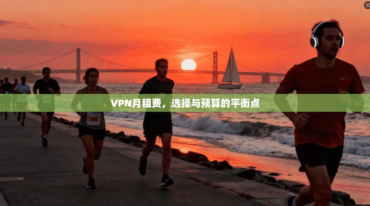 VPN月租费，选择与预算的平衡点  第1张