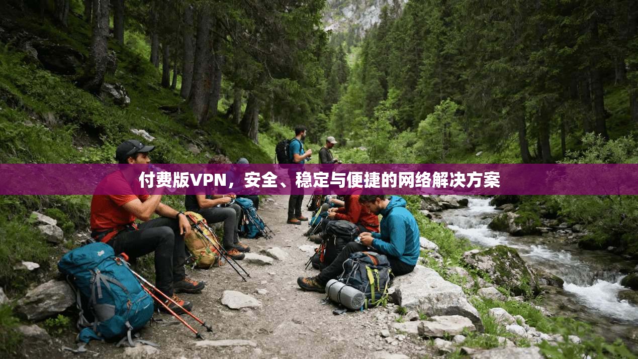 付费版VPN，安全、稳定与便捷的网络解决方案  第1张