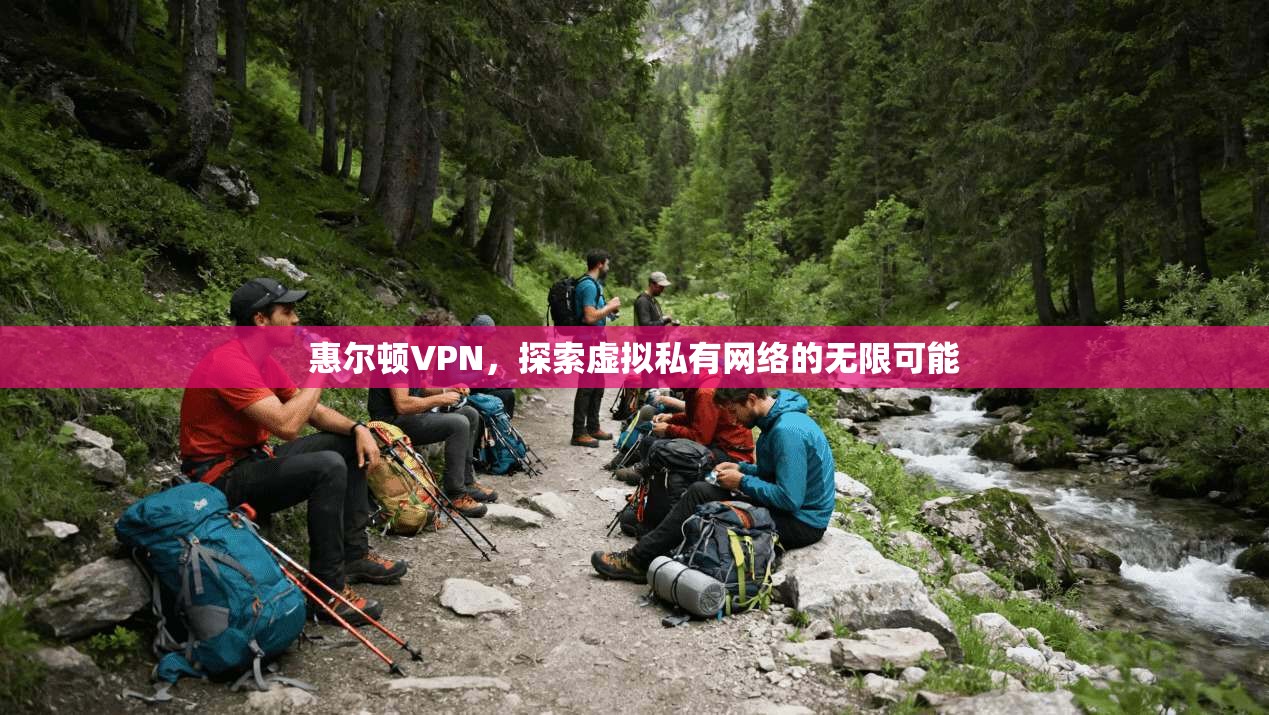 惠尔顿VPN，探索虚拟私有网络的无限可能  第1张