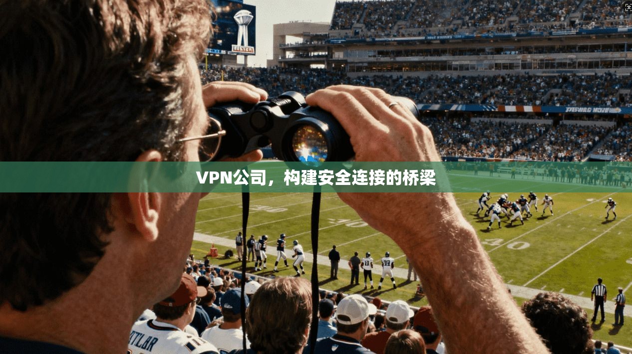 VPN公司，构建安全连接的桥梁  第1张