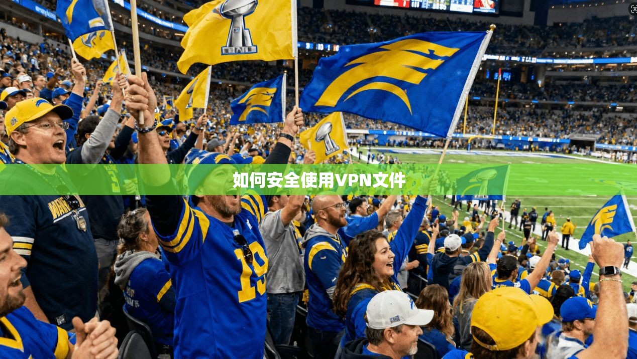 如何安全使用VPN文件  第1张