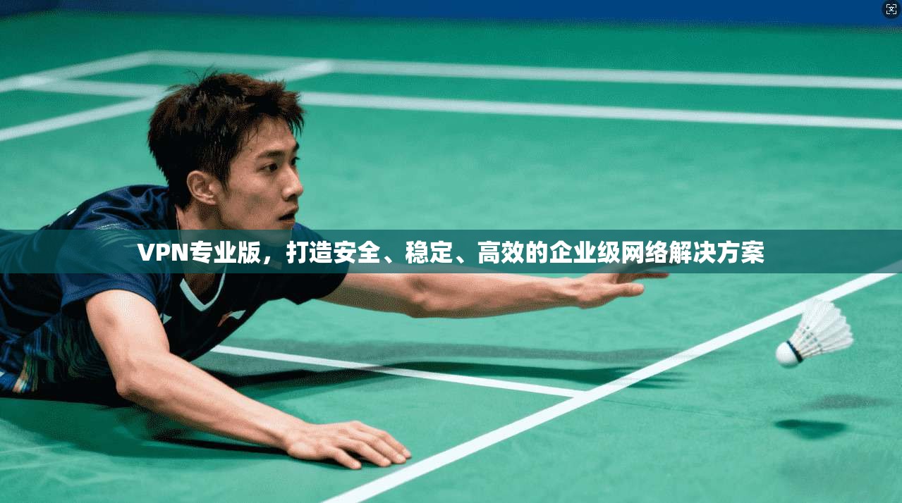 VPN专业版,打造安全、稳定、高效的企业级网络解决方案 第1张 VPN专业版,打造安全、稳定、高效的企业级网络解决方案 第1张