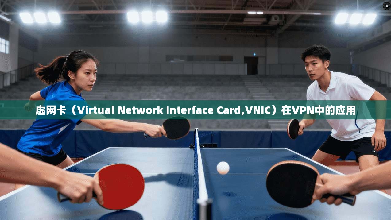 虚网卡(Virtual Network Interface Card,VNIC)在VPN中的应用 第1张 虚网卡(Virtual Network Interface Card,VNIC)在VPN中的应用 第1张