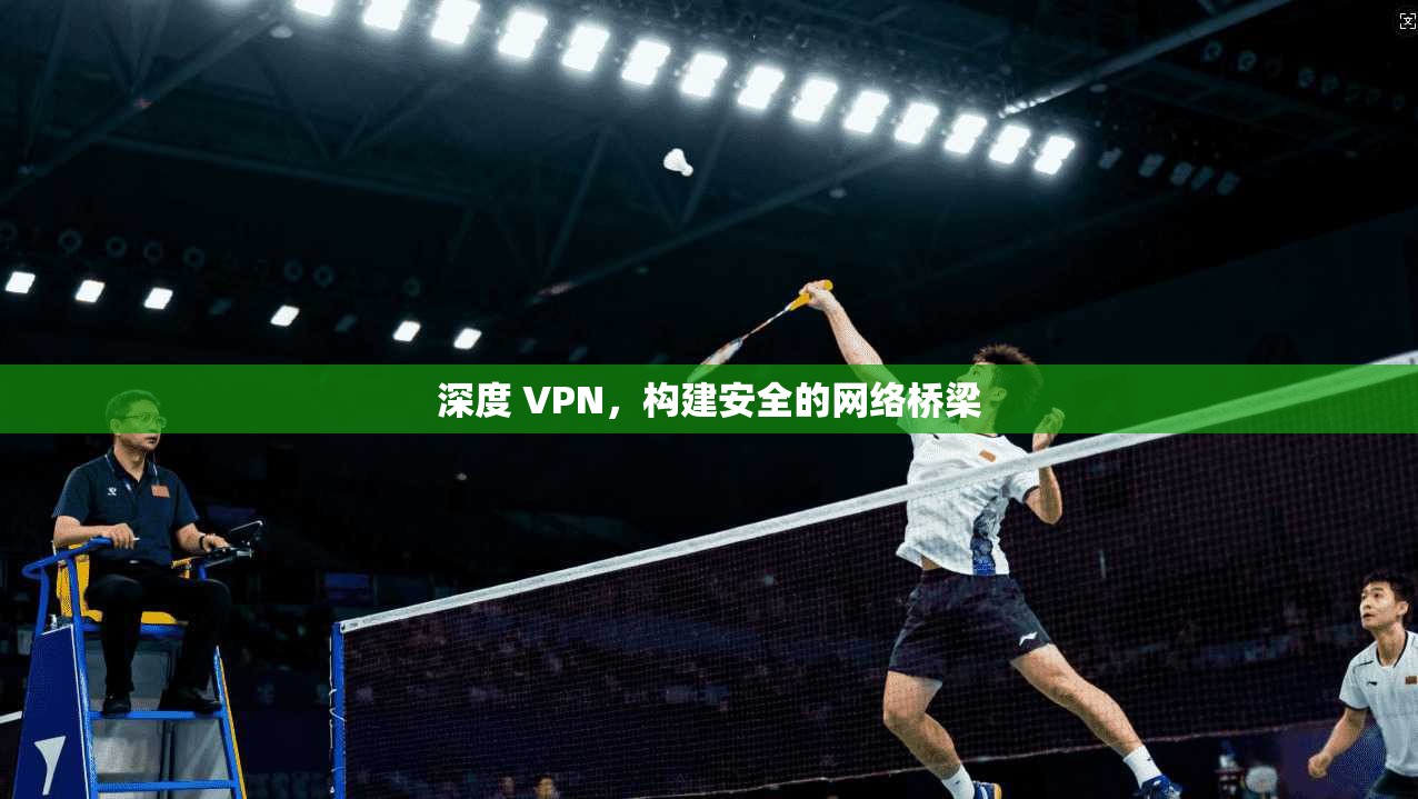 深度 VPN，构建安全的网络桥梁  第1张