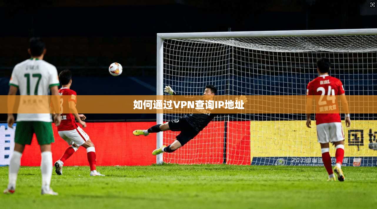 如何通过VPN查询IP地址 第1张 如何通过VPN查询IP地址 第1张