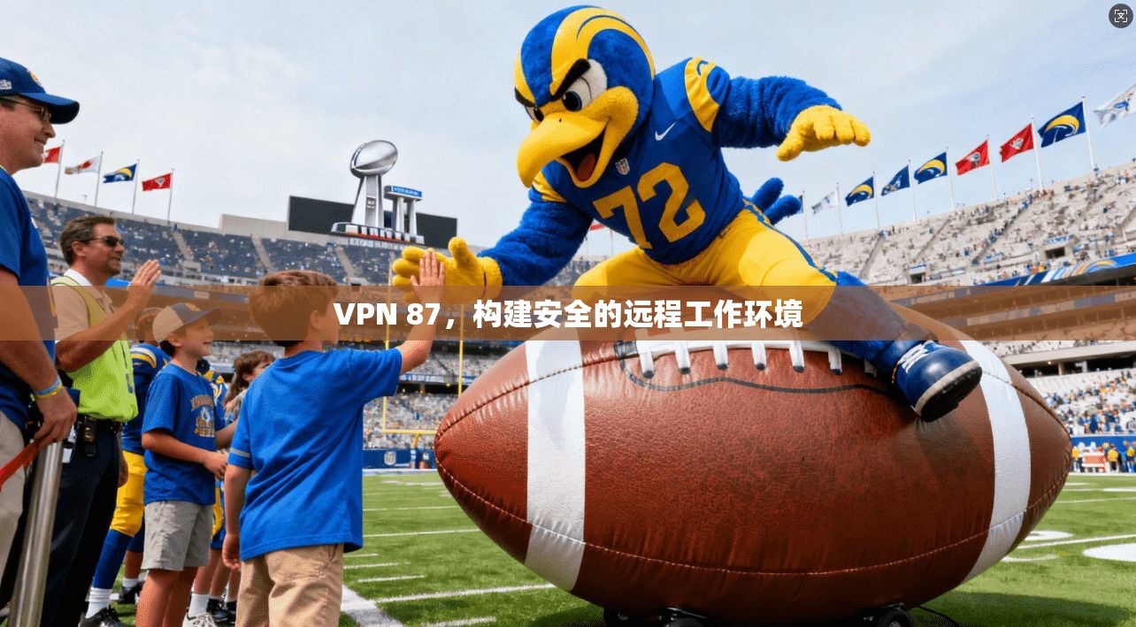 VPN 87，构建安全的远程工作环境  第1张