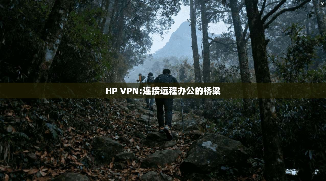 HP VPN:连接远程办公的桥梁  第1张