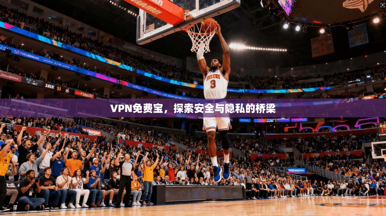 VPN免费宝,探索安全与隐私的桥梁 第1张 VPN免费宝,探索安全与隐私的桥梁 第1张