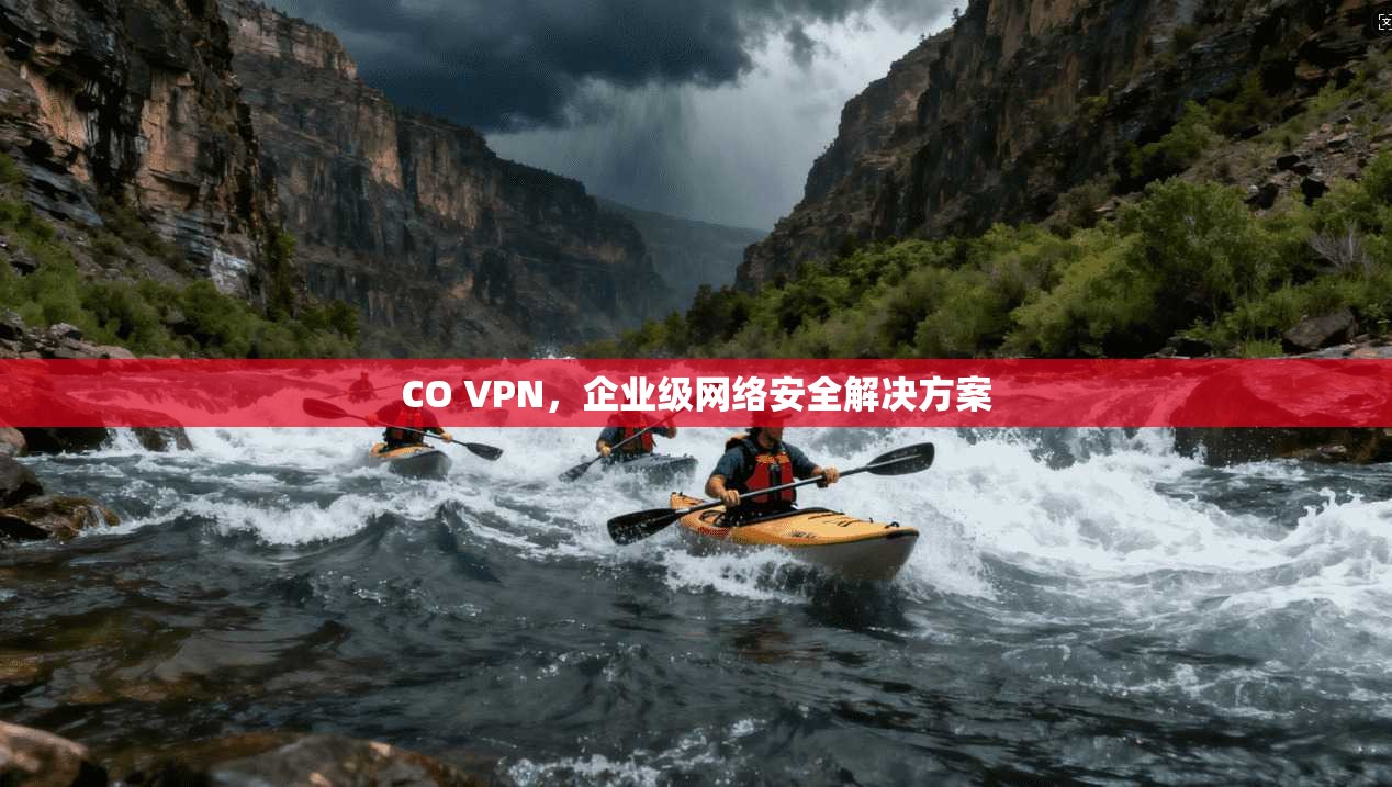 CO VPN，企业级网络安全解决方案  第1张