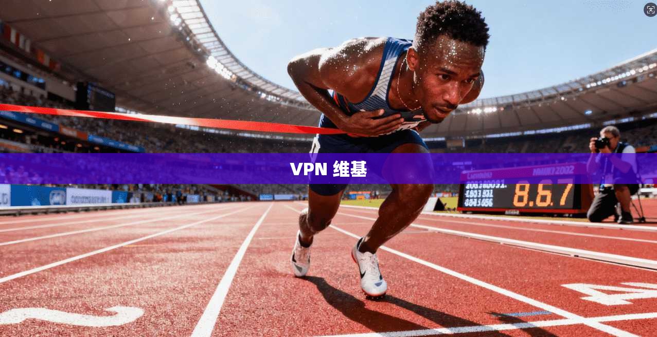 VPN 维基  第1张