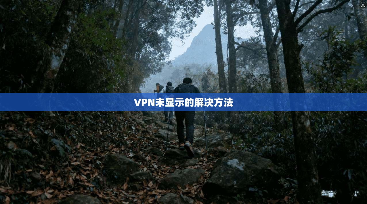 VPN未显示的解决方法 第1张 VPN未显示的解决方法 第1张