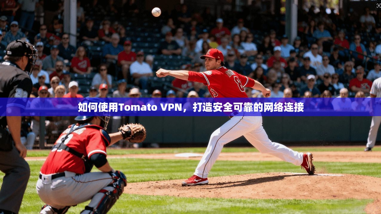 如何使用Tomato VPN,打造安全可靠的网络连接 第1张 如何使用Tomato VPN,打造安全可靠的网络连接 第1张