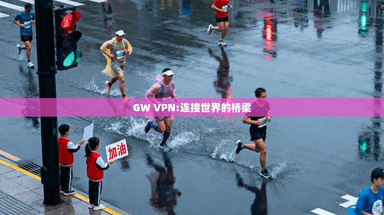 GW VPN:连接世界的桥梁 第1张 GW VPN:连接世界的桥梁 第1张
