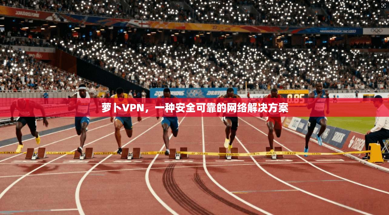 萝卜VPN,一种安全可靠的网络解决方案 第1张 萝卜VPN,一种安全可靠的网络解决方案 第1张