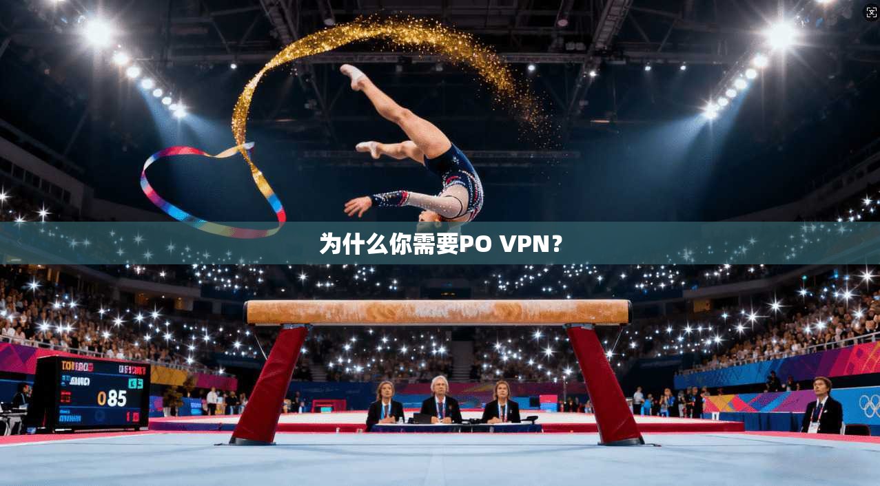 为什么你需要PO VPN? 第1张 为什么你需要PO VPN? 第1张