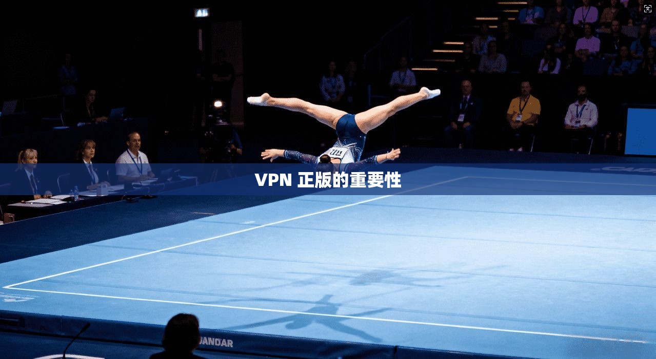 VPN 正版的重要性 第1张 VPN 正版的重要性 第1张