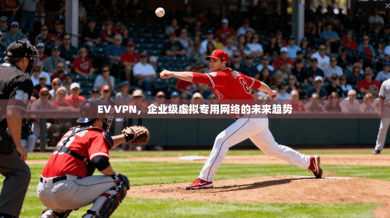 EV VPN,企业级虚拟专用网络的未来趋势 第1张 EV VPN,企业级虚拟专用网络的未来趋势 第1张