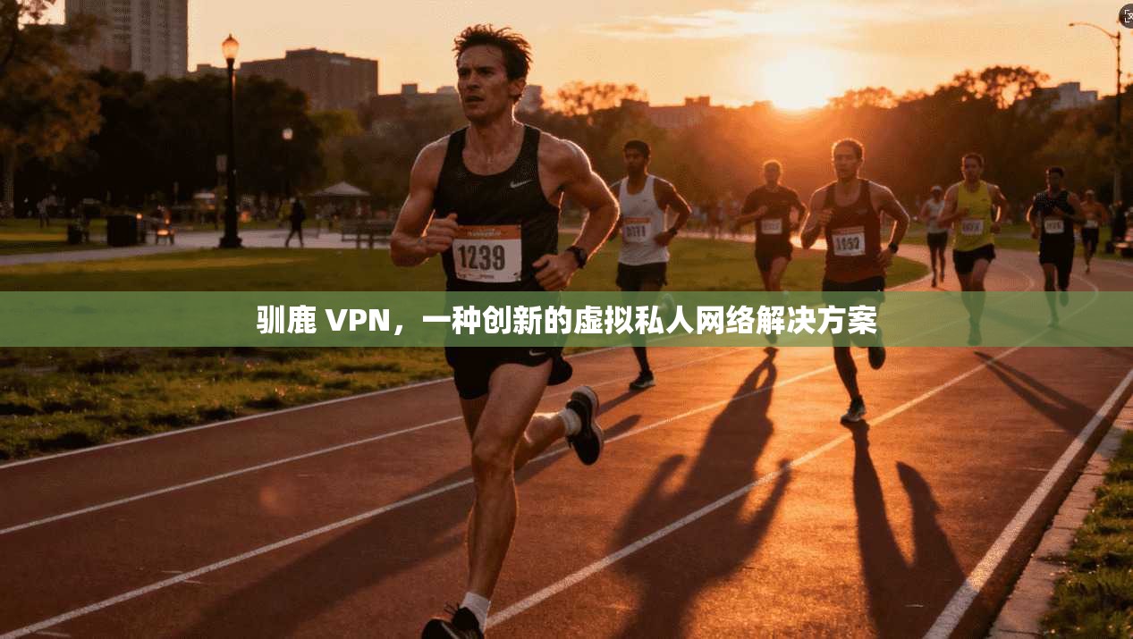 驯鹿 VPN，一种创新的虚拟私人网络解决方案  第1张