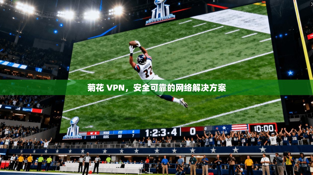 菊花 VPN，安全可靠的网络解决方案  第1张