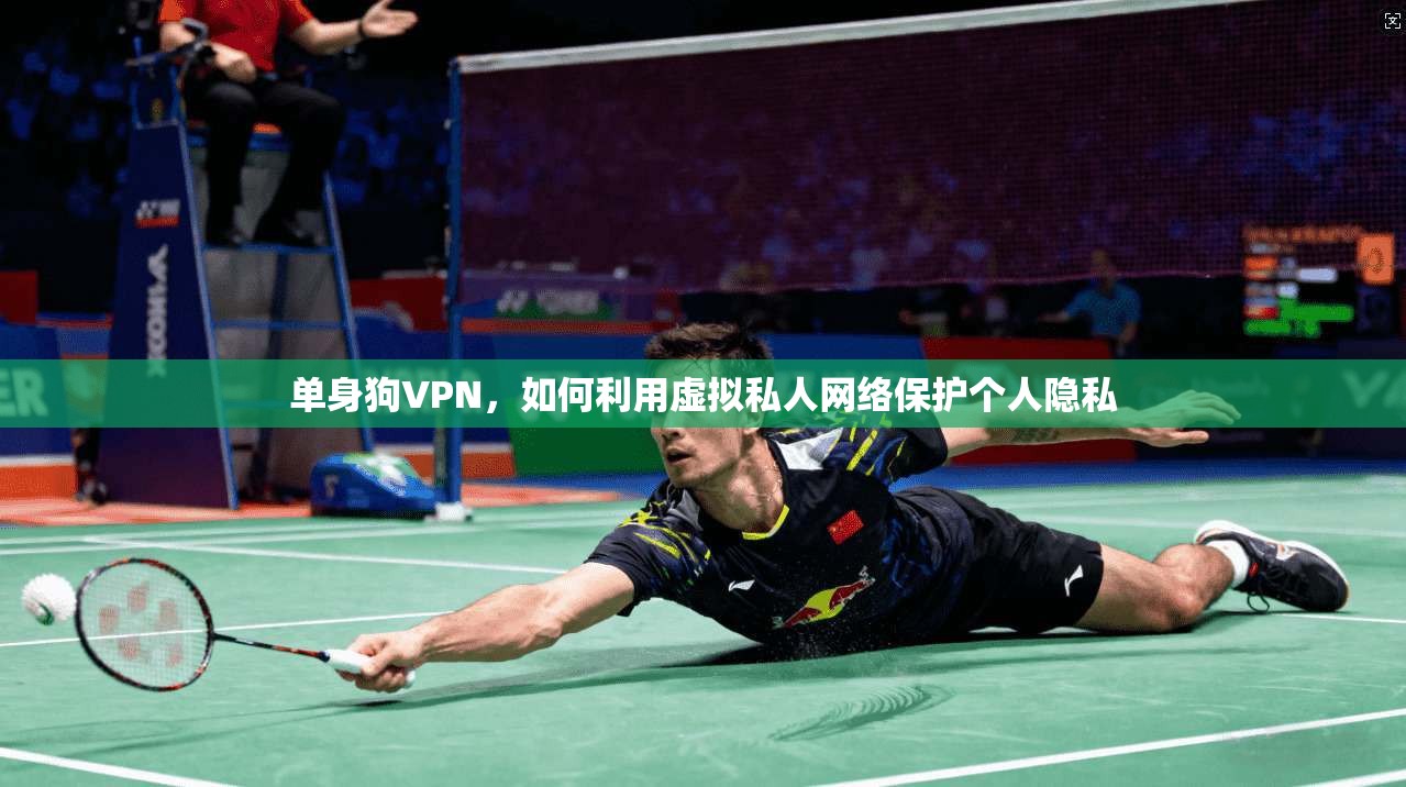 单身狗VPN，如何利用虚拟私人网络保护个人隐私  第1张