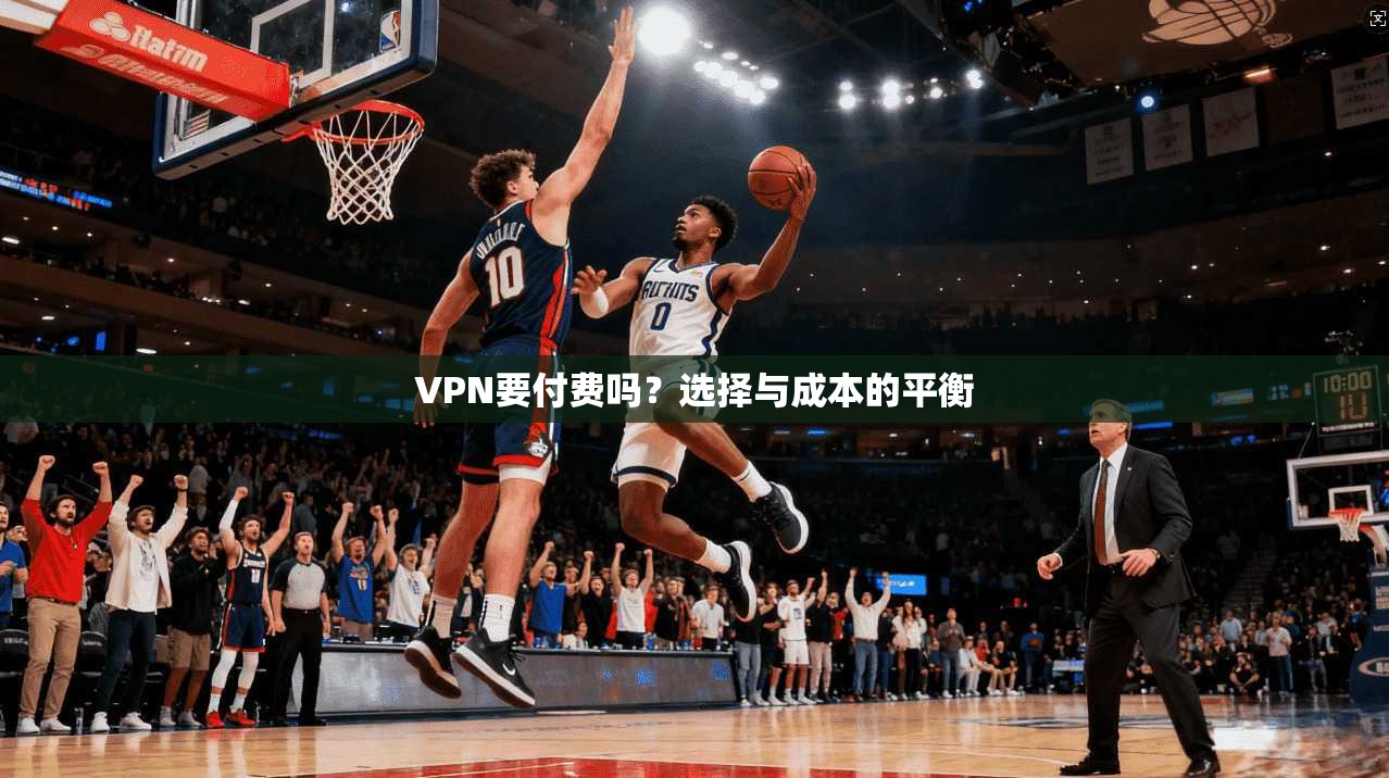 VPN要付费吗？选择与成本的平衡  第1张