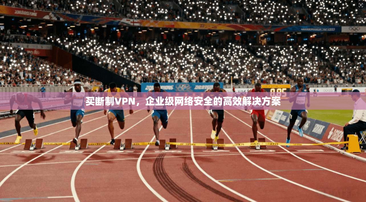 买断制VPN，企业级网络安全的高效解决方案  第1张