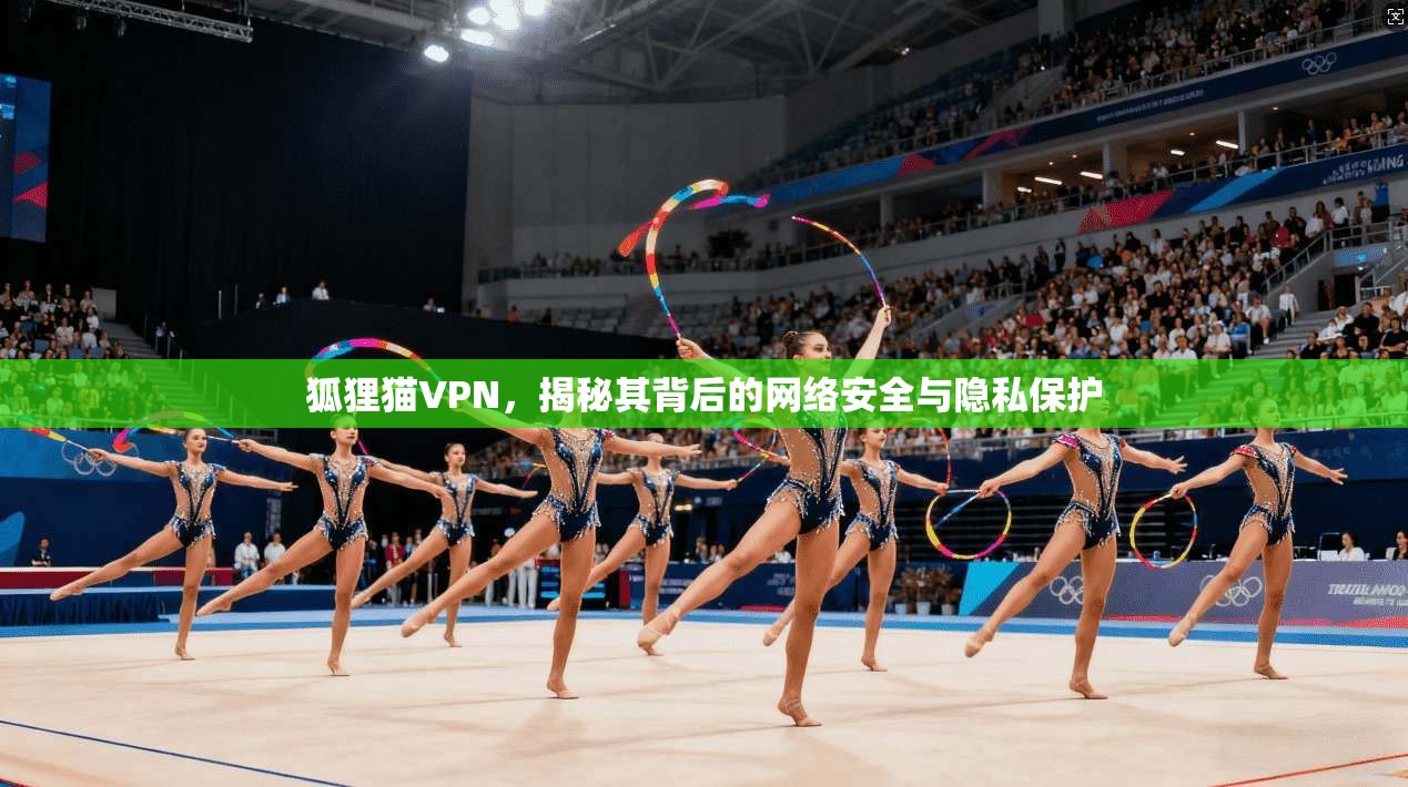 狐狸猫VPN,揭秘其背后的网络安全与隐私保护 第1张 狐狸猫VPN,揭秘其背后的网络安全与隐私保护 第1张