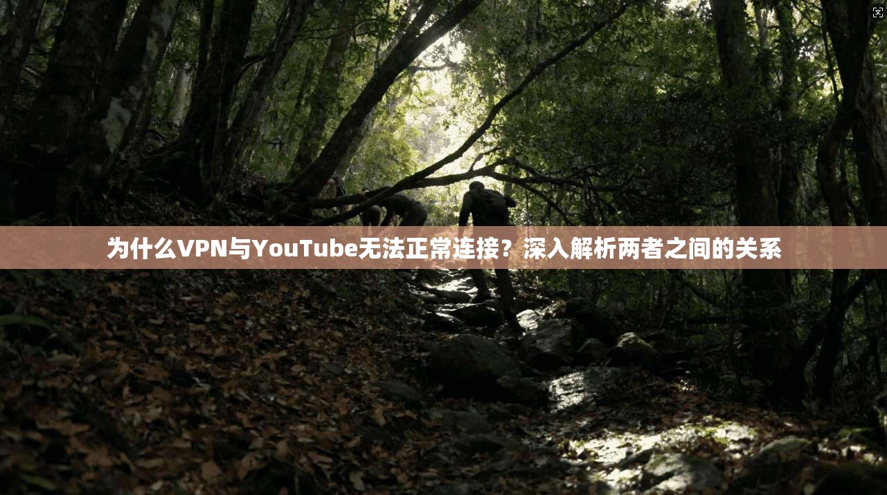 为什么VPN与YouTube无法正常连接？深入解析两者之间的关系  第1张