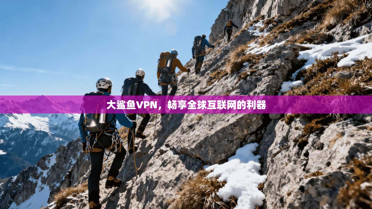 大鲨鱼VPN，畅享全球互联网的利器  第1张