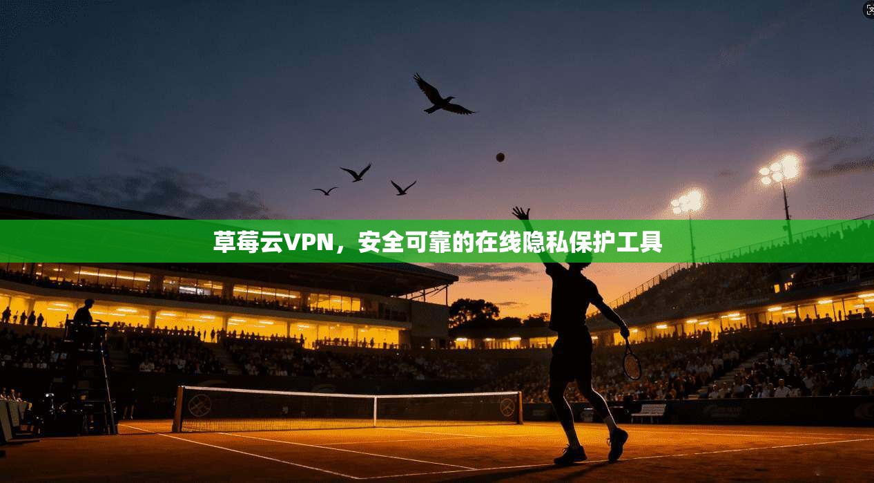 草莓云VPN，安全可靠的在线隐私保护工具  第1张