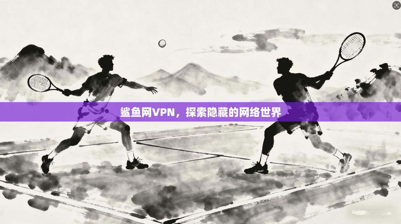 鲨鱼网VPN，探索隐藏的网络世界  第1张