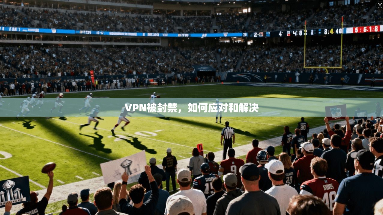 VPN被封禁，如何应对和解决  第1张