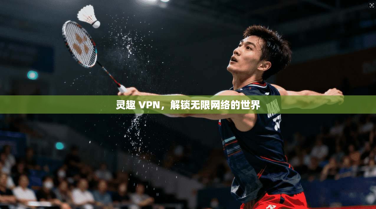 灵趣 VPN，解锁无限网络的世界  第1张