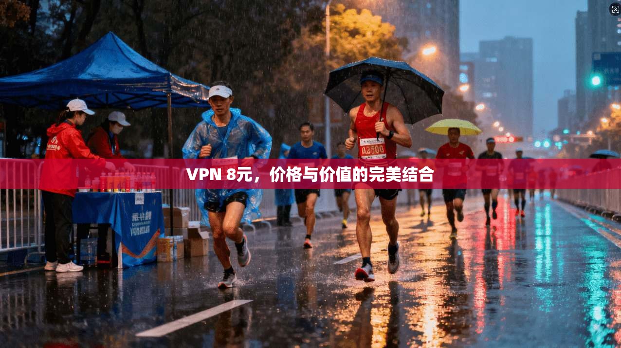 VPN 8元，价格与价值的完美结合  第1张