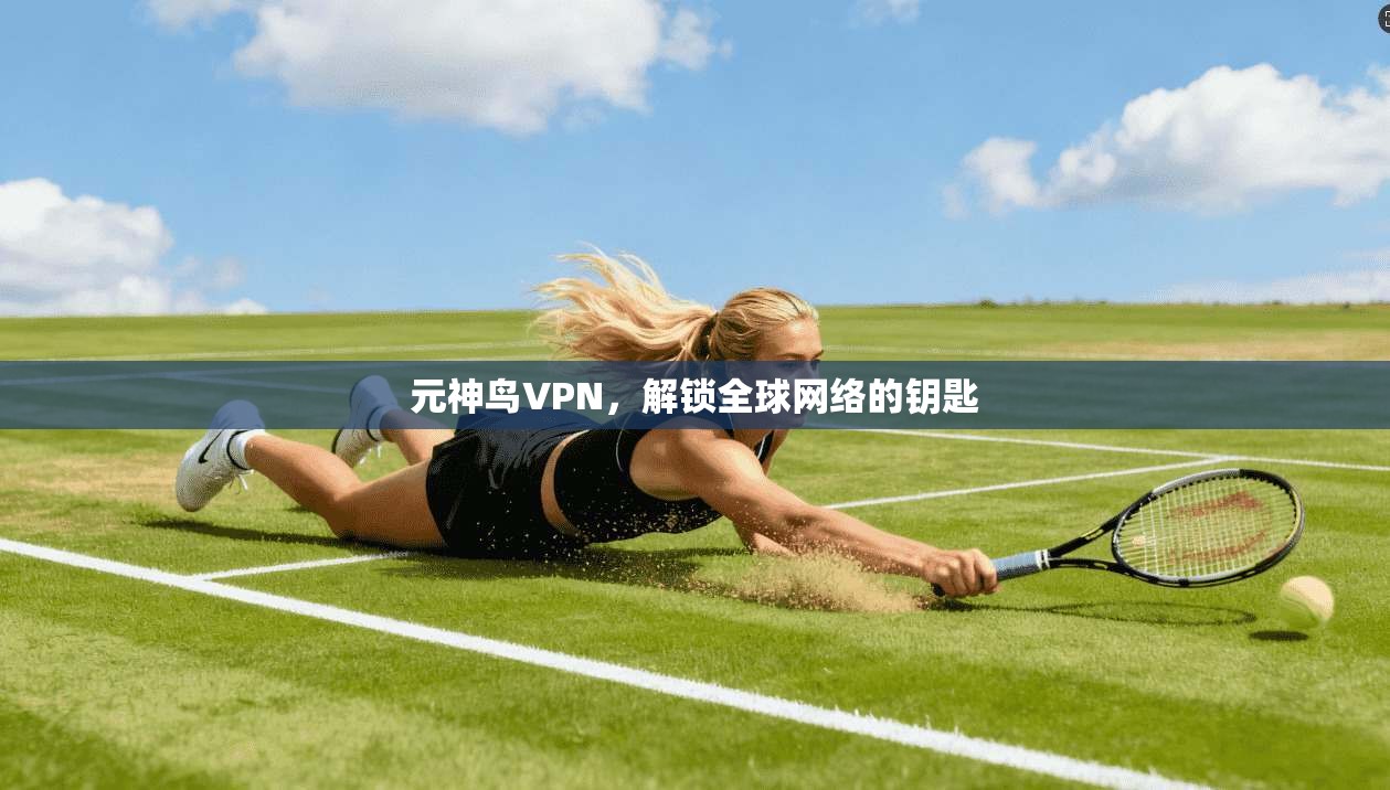 元神鸟VPN，解锁全球网络的钥匙  第1张