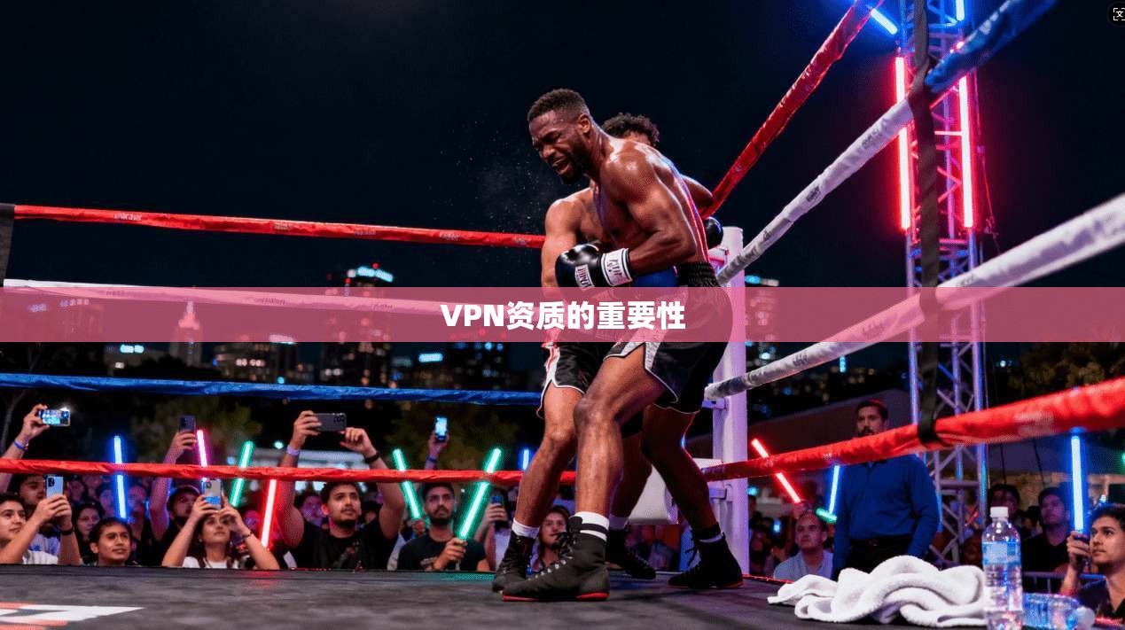 VPN资质的重要性 第1张 VPN资质的重要性 第1张