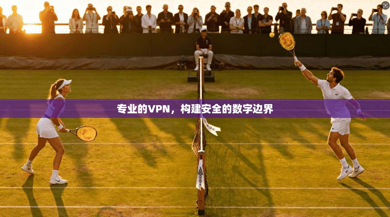 专业的VPN，构建安全的数字边界  第1张