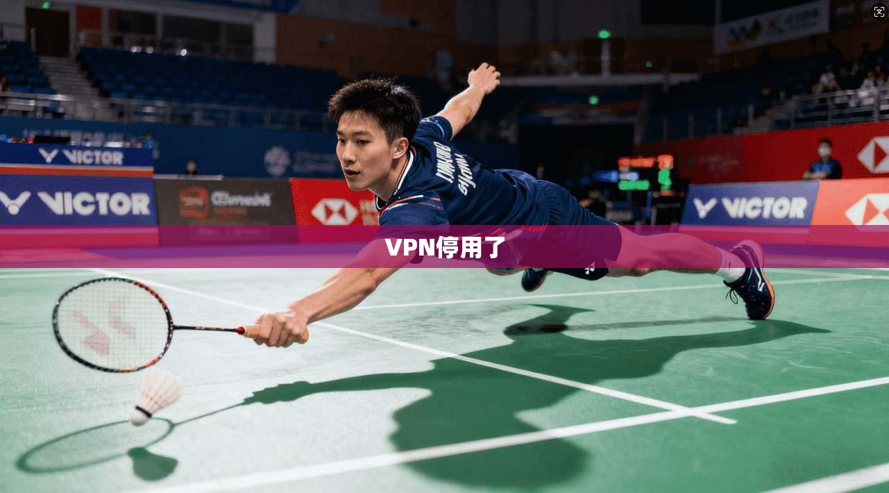 VPN停用了  第1张