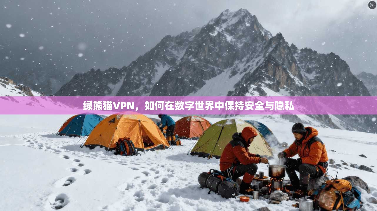 绿熊猫VPN，如何在数字世界中保持安全与隐私  第1张
