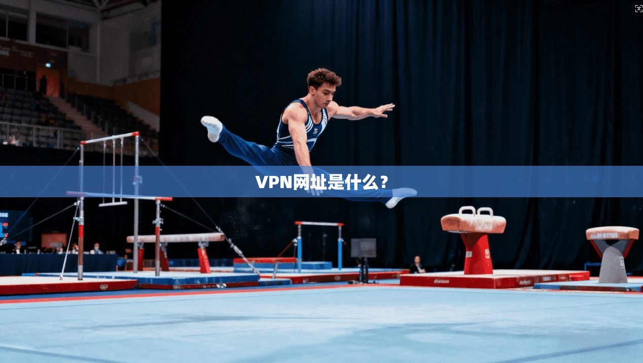 VPN网址是什么？  第1张
