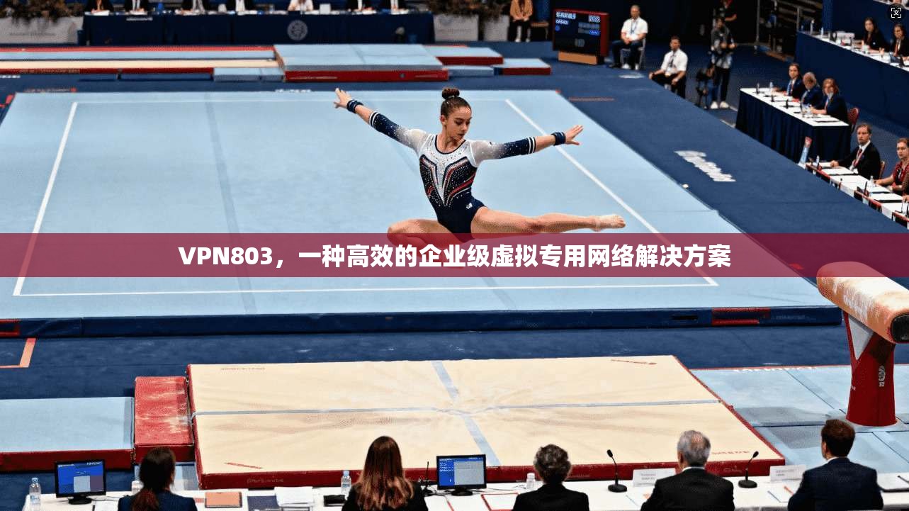 VPN803,一种高效的企业级虚拟专用网络解决方案 第1张 VPN803,一种高效的企业级虚拟专用网络解决方案 第1张