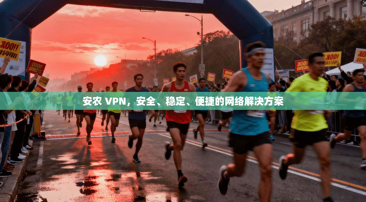 安农 VPN，安全、稳定、便捷的网络解决方案  第1张