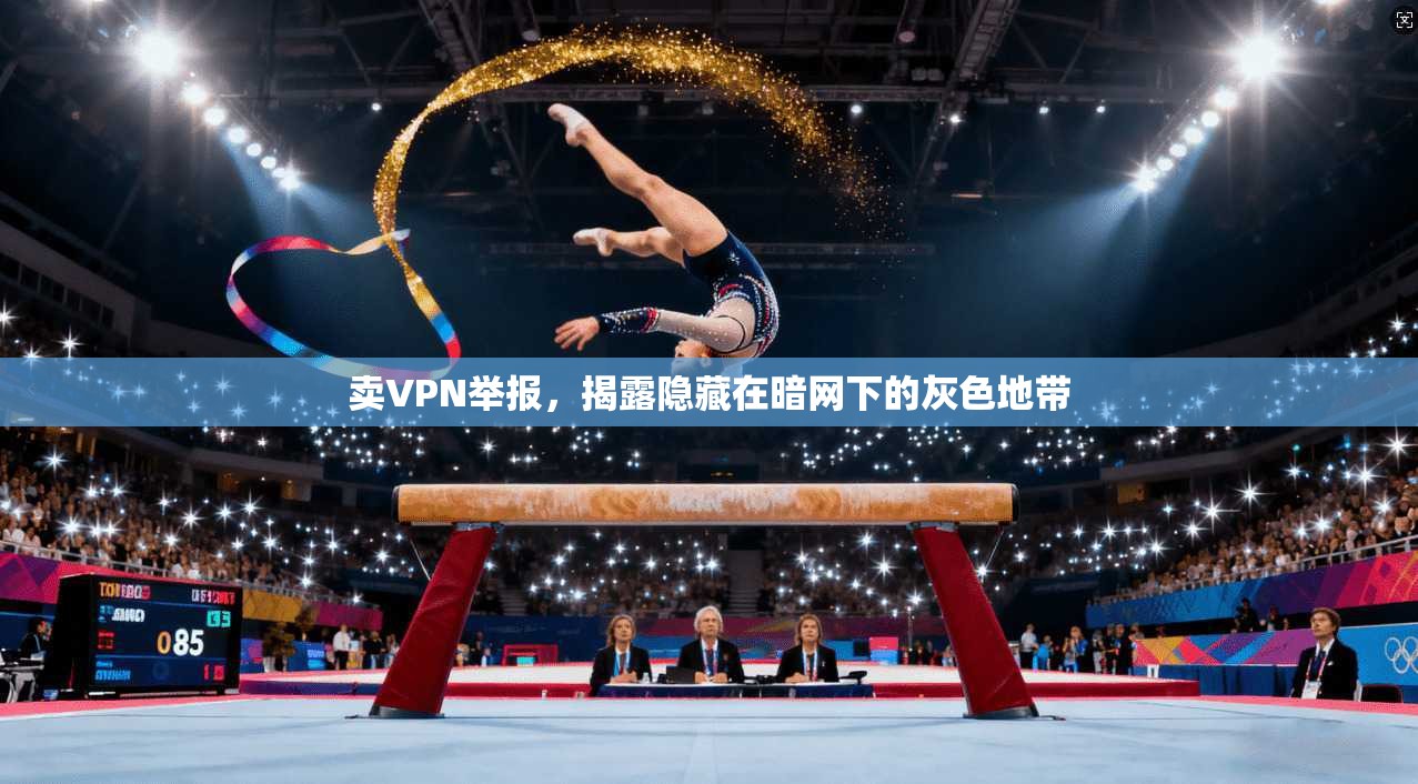 卖VPN举报，揭露隐藏在暗网下的灰色地带  第1张