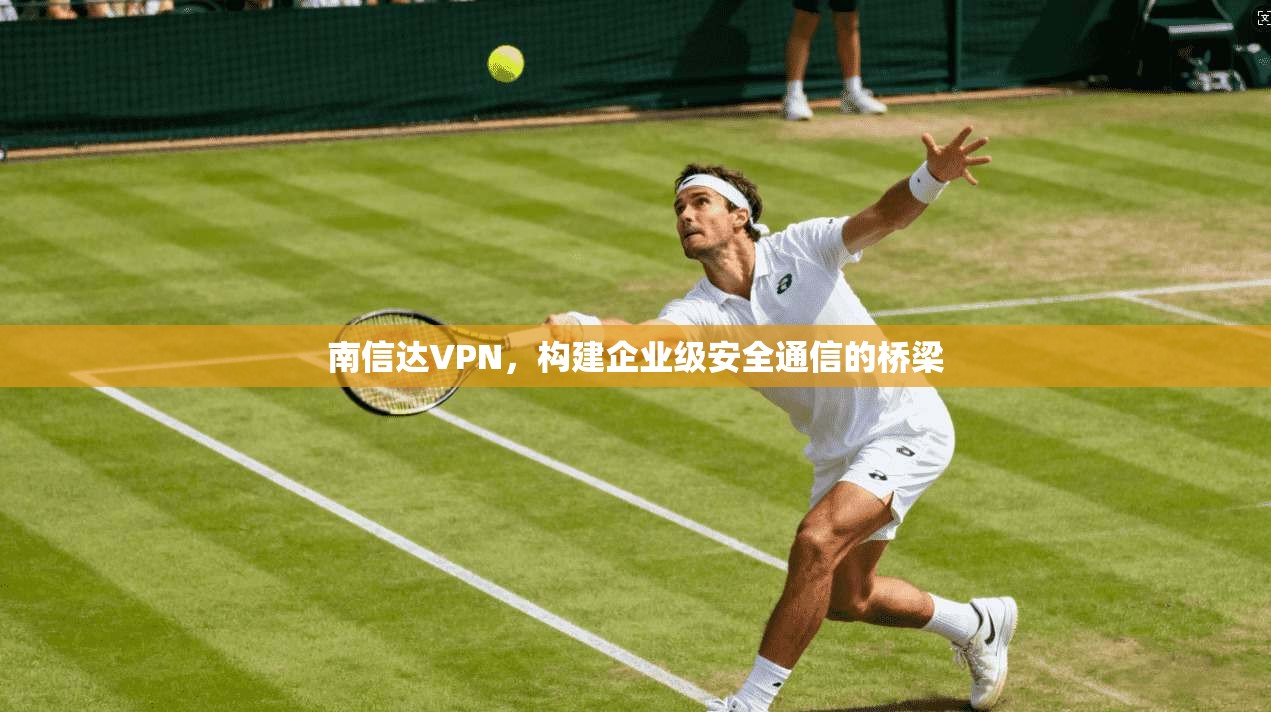 南信达VPN，构建企业级安全通信的桥梁  第1张