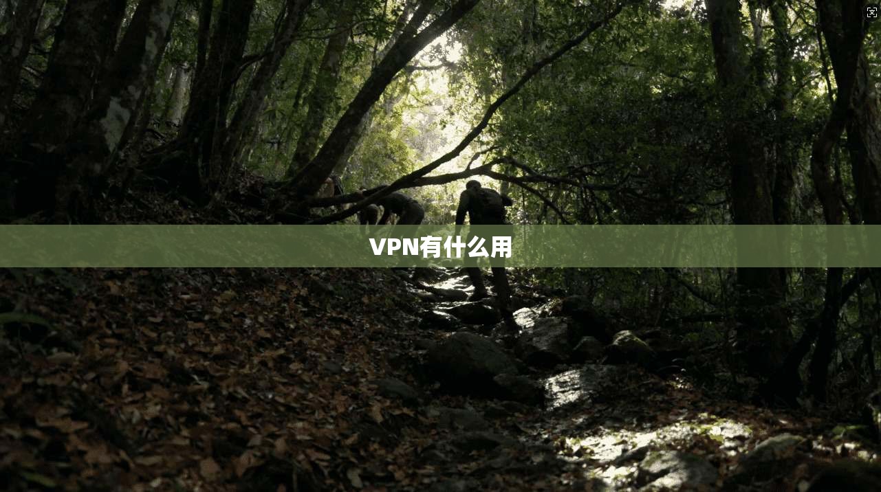 VPN有什么用 第1张 VPN有什么用 第1张