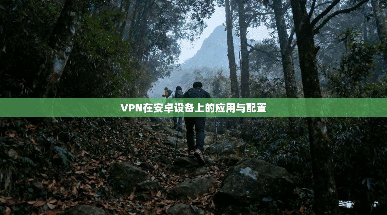 VPN在安卓设备上的应用与配置  第1张