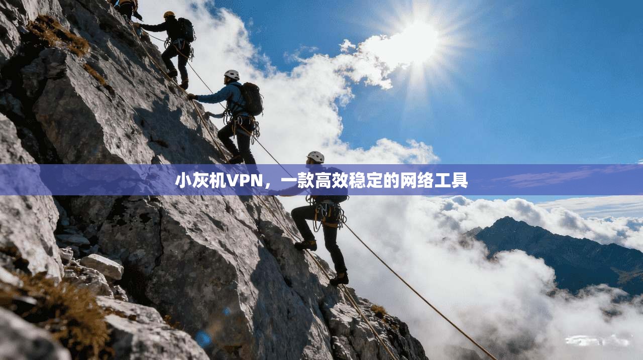 小灰机VPN，一款高效稳定的网络工具  第1张