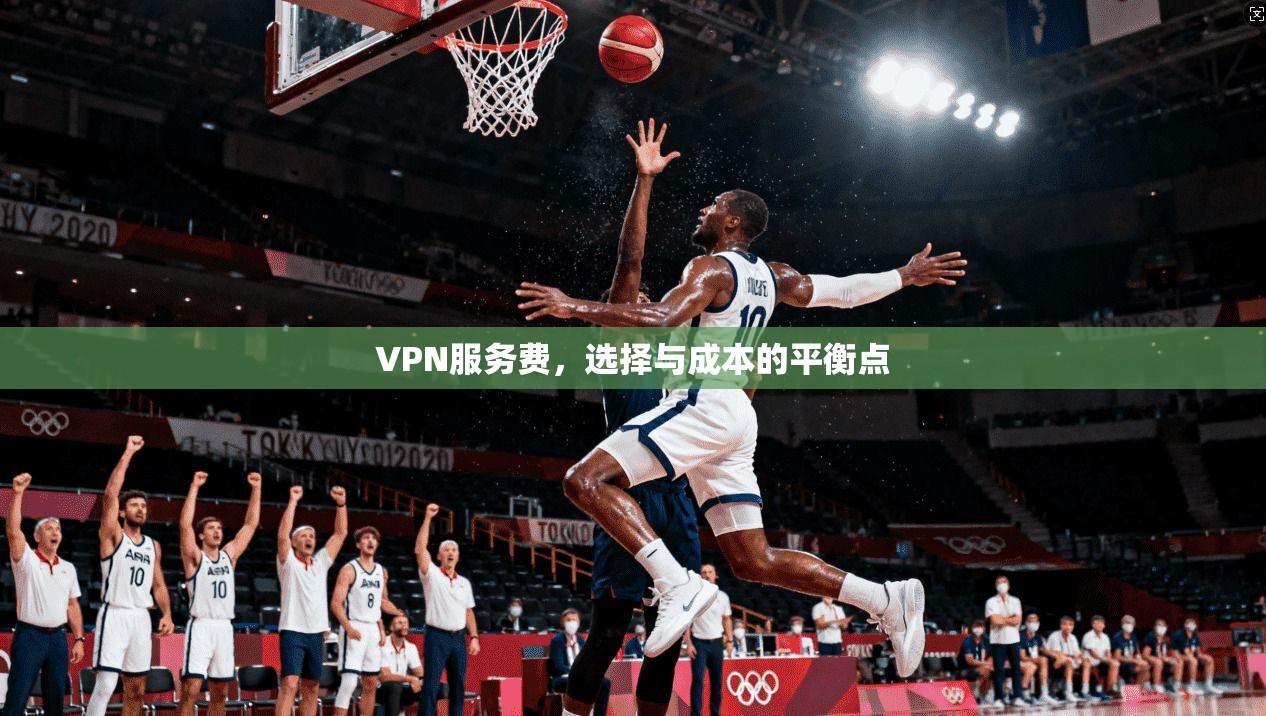 VPN服务费,选择与成本的平衡点 第1张 VPN服务费,选择与成本的平衡点 第1张