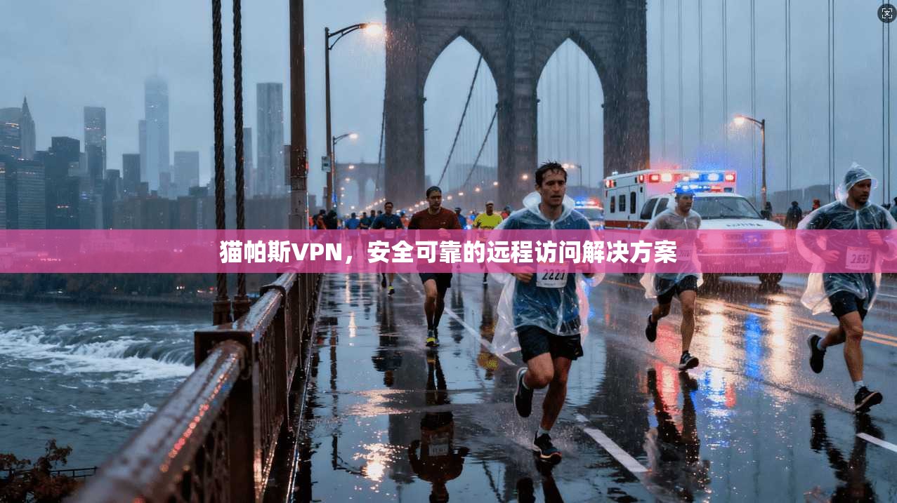 猫帕斯VPN，安全可靠的远程访问解决方案  第1张